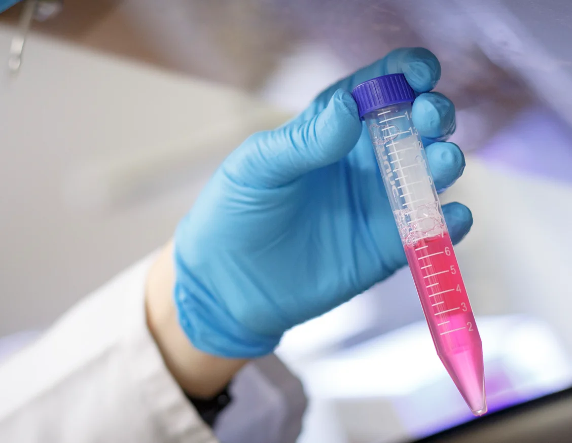 Lleida impulsa la investigación en la atención hospitalaria y primaria