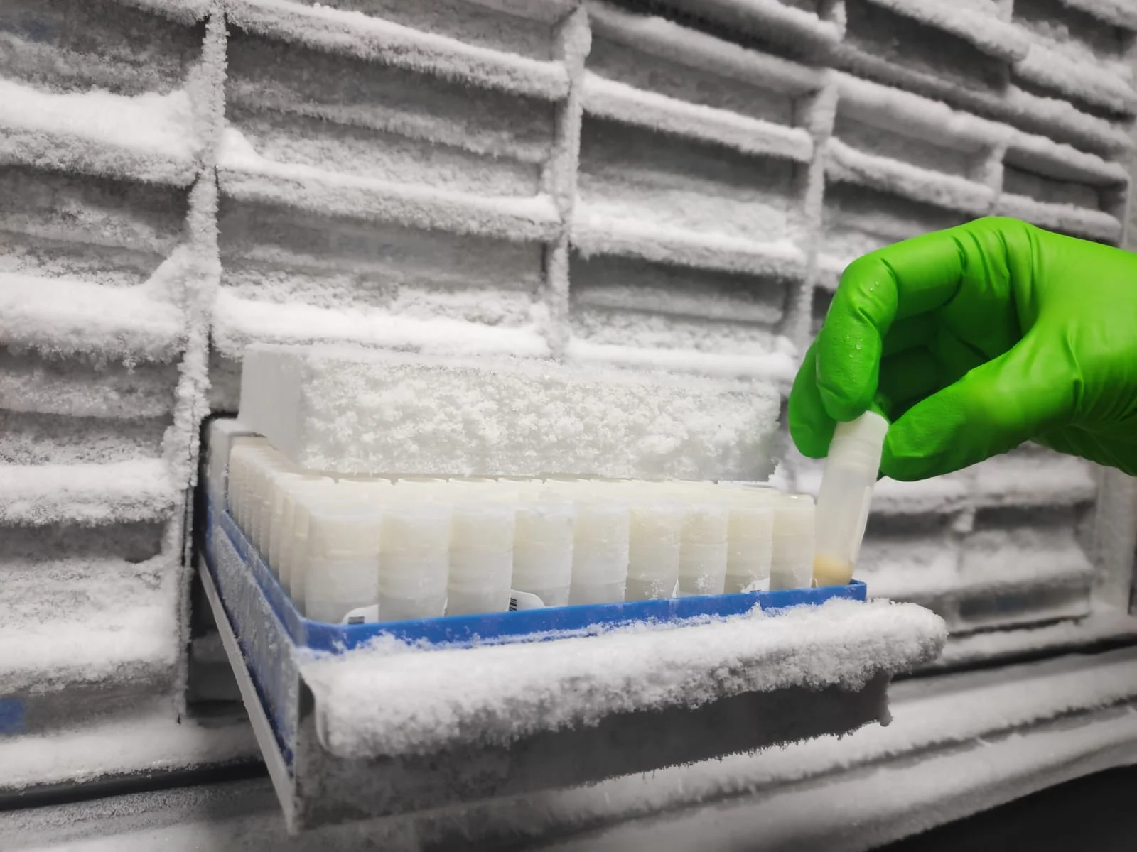 El Biobanco del IRBLleida recoge más de 4.700 muestras de pacientes con COVID-19 de Lleida para cederlas a la investigación