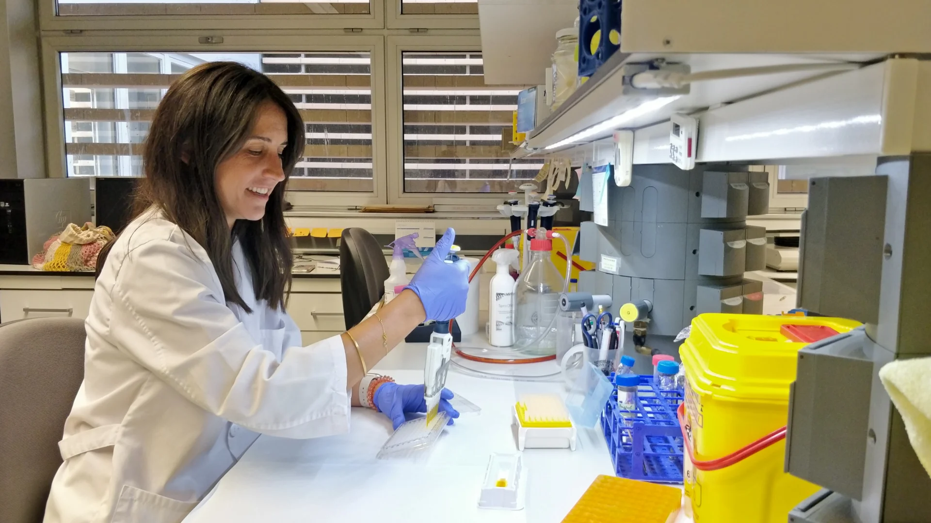 La inhibició del receptor de la vitamina D ajuda a prevenir la calcificació vascular en la malaltia renal crònica i reduir-ne la mortalitat