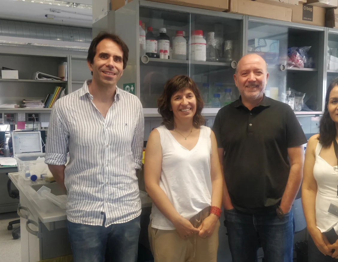 The role of oxidative stress in the progression of Alzheimer's disease is shown to affect only the cellular level