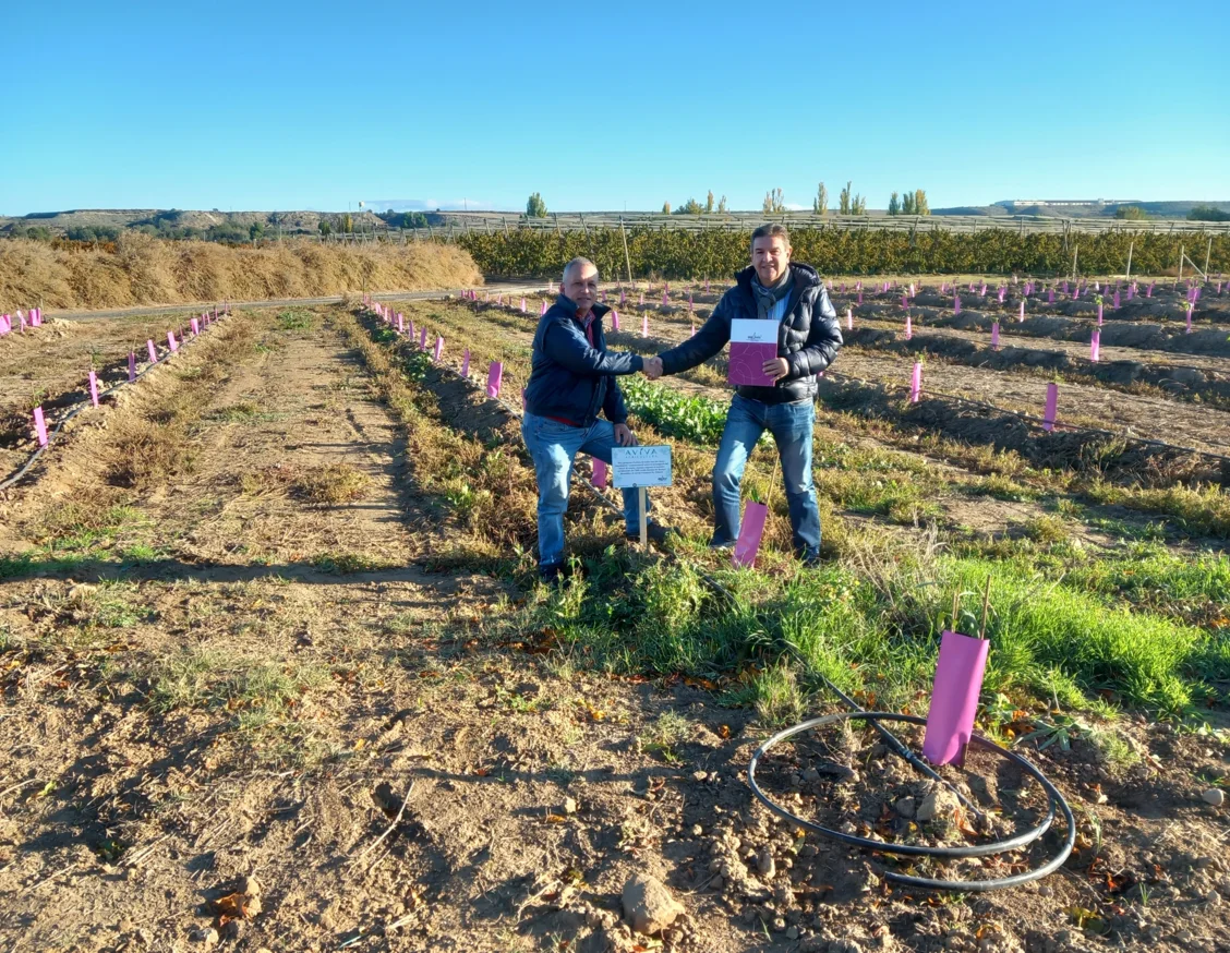 Aviva Agricultura, new IRBLleida collaborating company