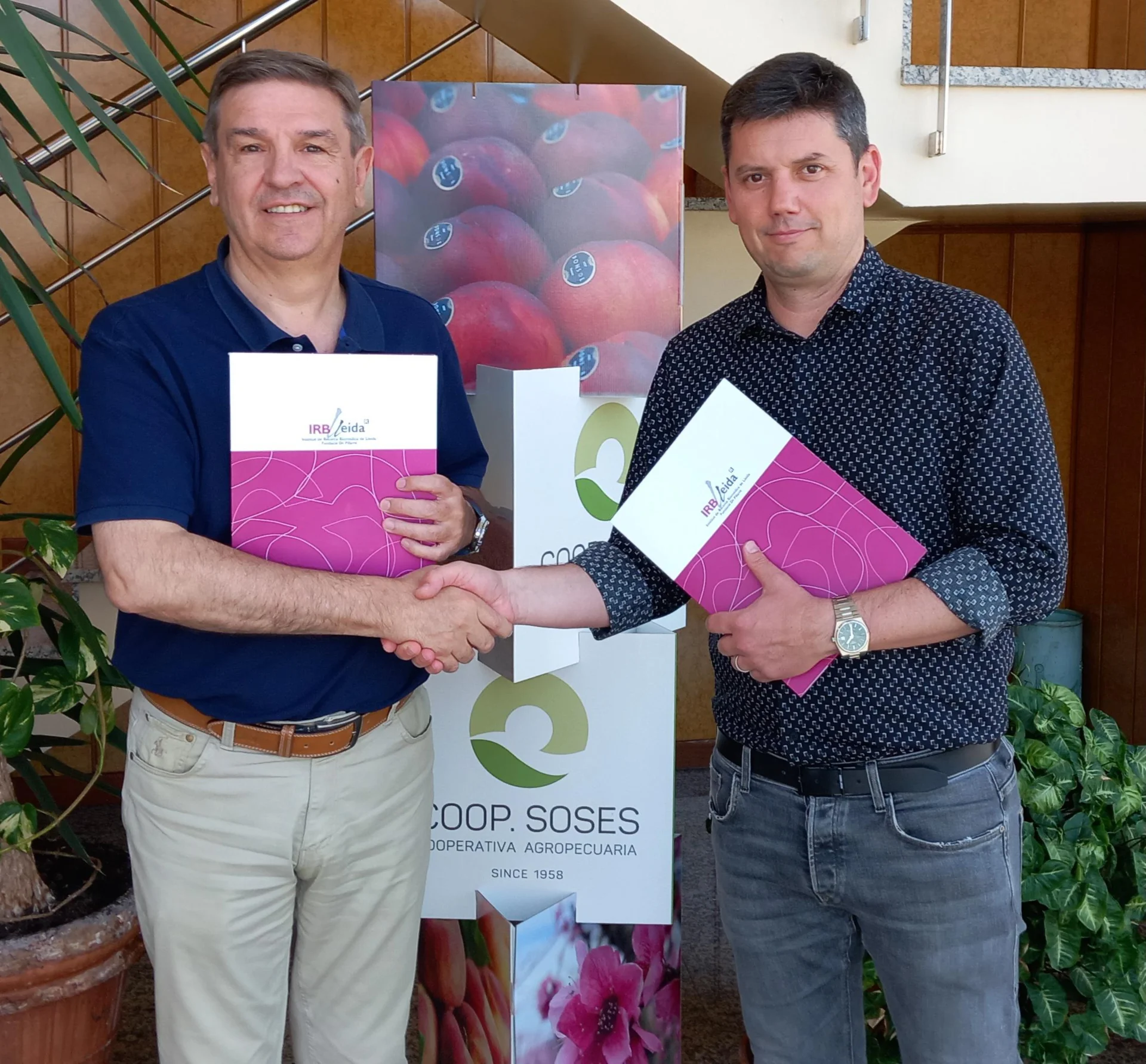 The Cooperativa Agropecuària de Soses renews its collaboration with IRBLleida