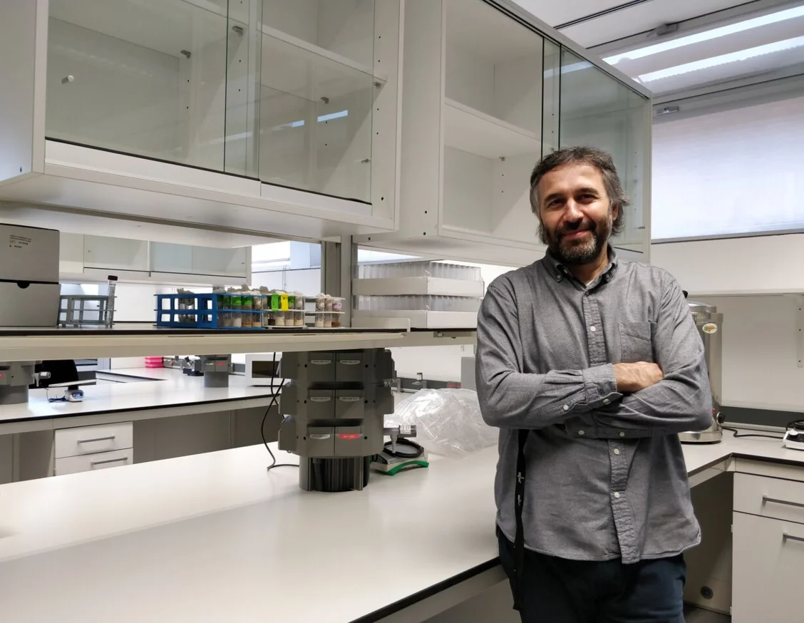 Researchers from IRBLleida describe the first model of adult metastasis developed in the fruit fly