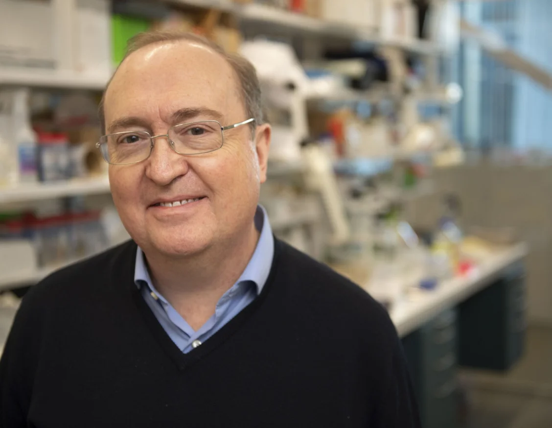 Died Ernest Arenas, Lleida neuroscientist 