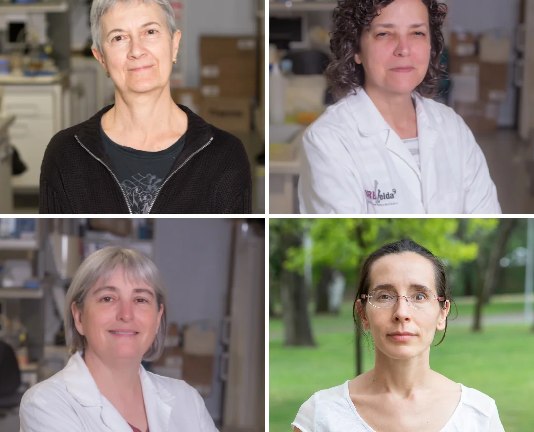 Four researchers from IRBLleida, among the top 5,000 in Spain according to the Spanish National Research Council