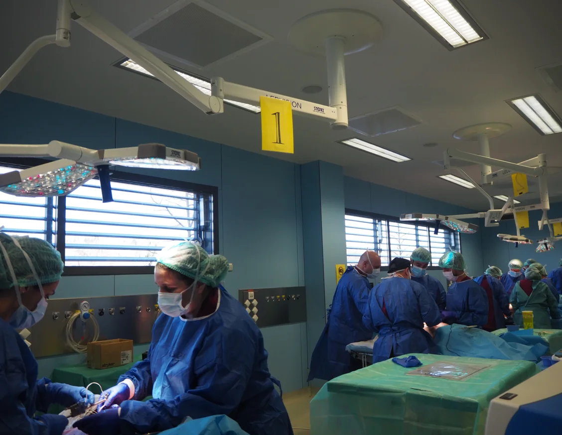 Profesionales médicos se forman en el CREBA en técnicas complejas de cirugía torácica
