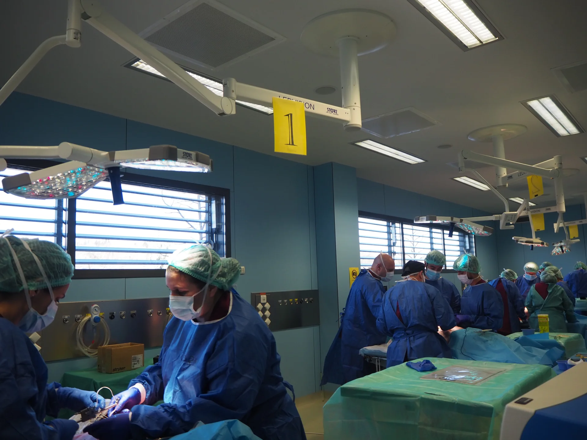 Profesionales médicos se forman en el CREBA en técnicas complejas de cirugía torácica
