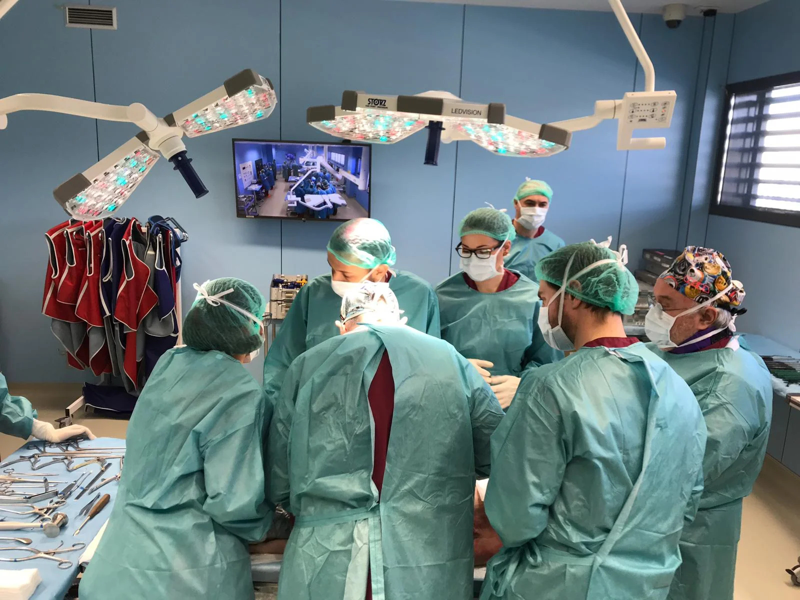 El centre CREBA imparteix un curs de cirurgia de mínima invasió per a veterinaris