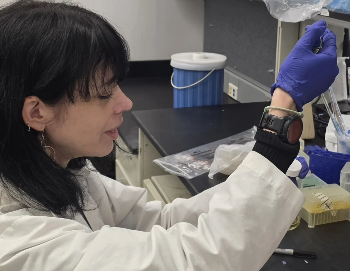 Identifiquen un nou mecanisme molecular que explica per què alguns càncers d’endometri són més agressius