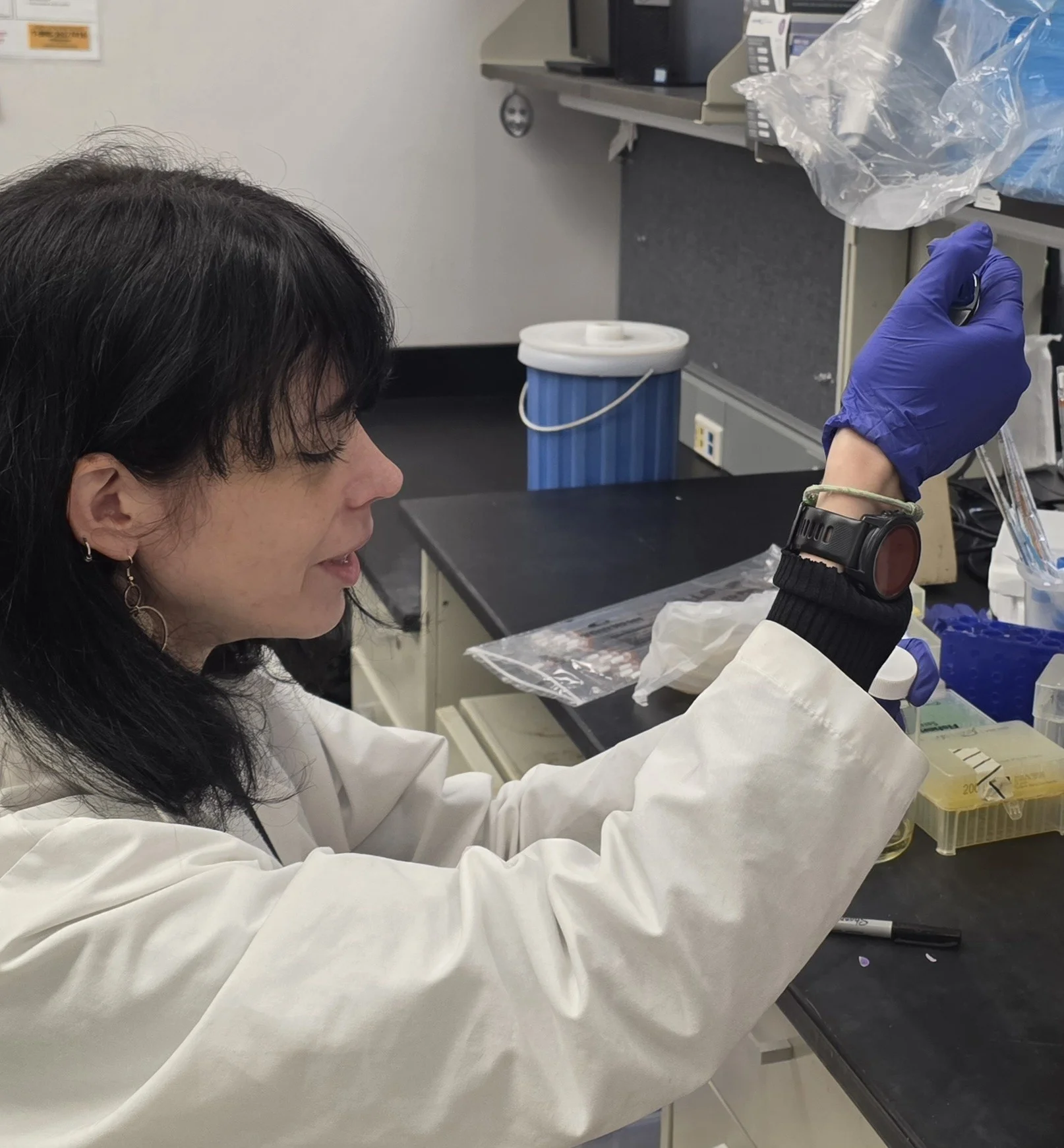 Identifiquen un nou mecanisme molecular que explica per què alguns càncers d’endometri són més agressius