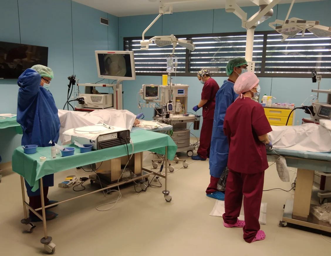 CREBA hosts an international course to train digestology professionals in a new endoscopic technology