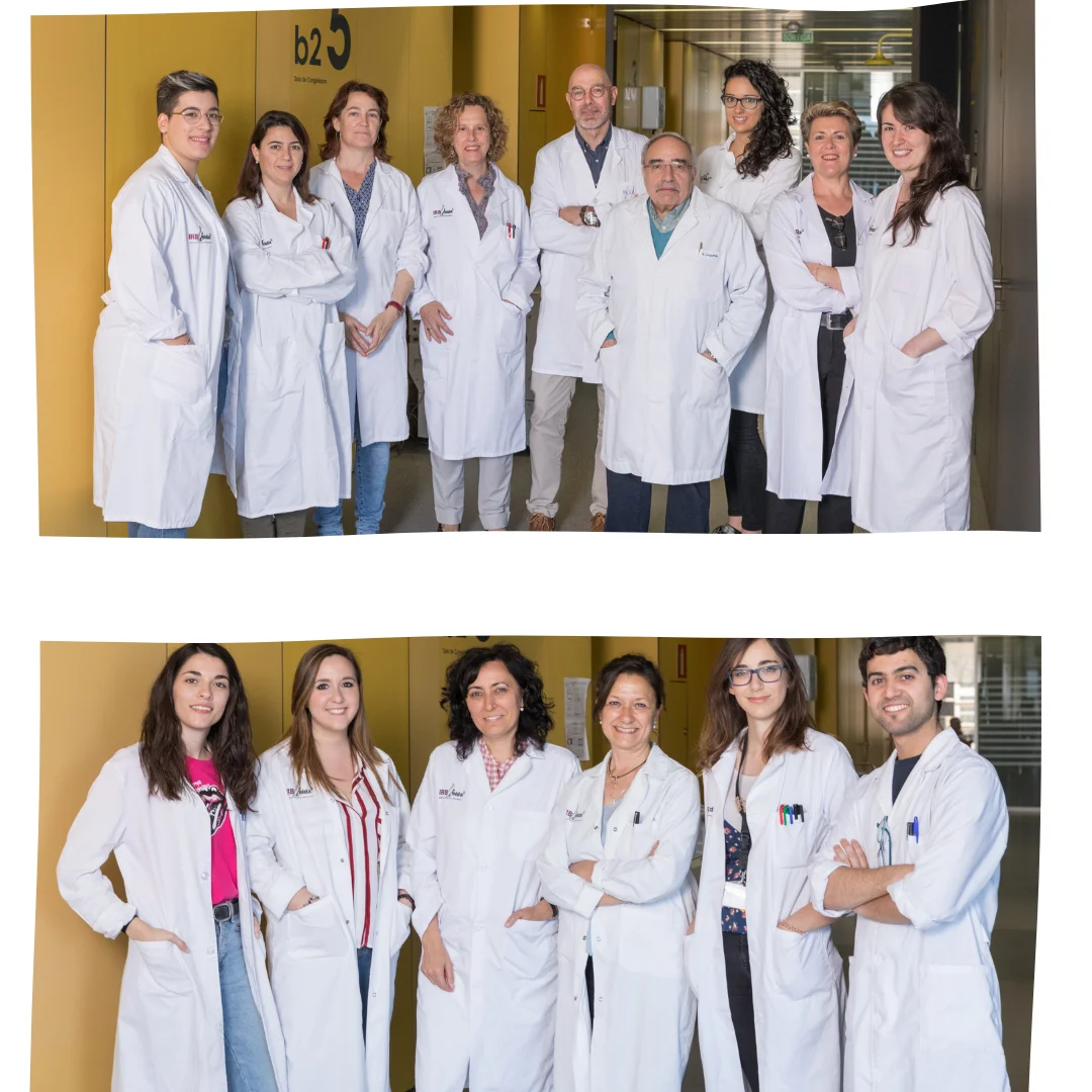 La Marató impulsa un projecte sobre l'atròfia muscular espinal de l'IRBLleida