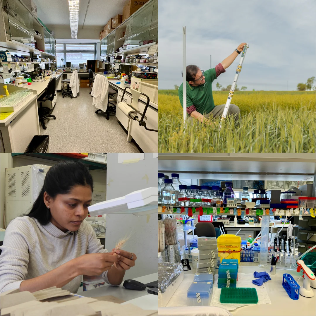 Agrotecnio i l’IRBLleida llancen la segona convocatòria d’ AgroHealth