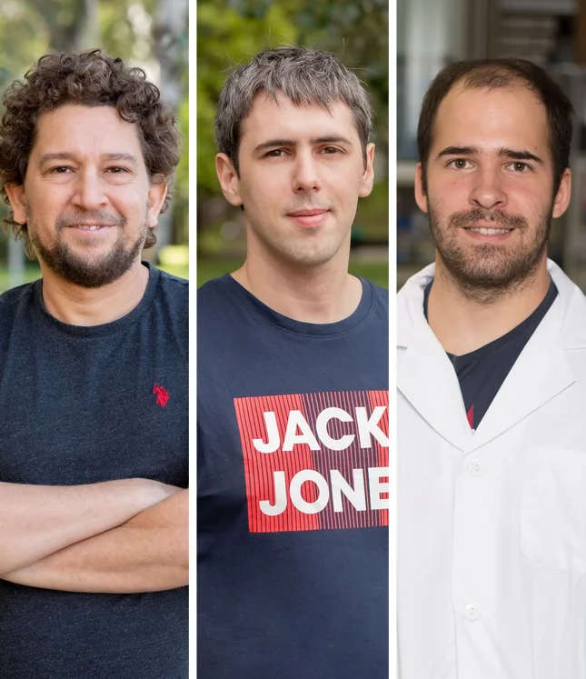 New key piece of evidence discovered in the origin of ALS: malfunctioning of a cellular ‘entry port’