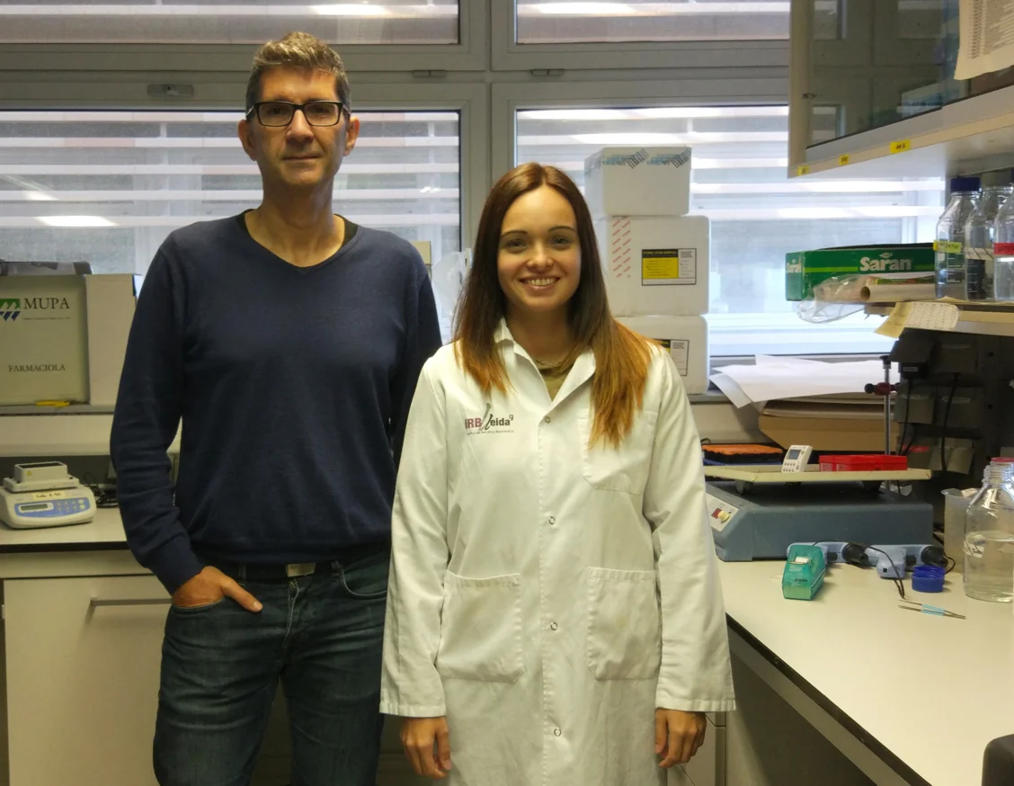 Descobreixen una relació genètica entre la funció cardiovascular i la malaltia d'Alzheimer