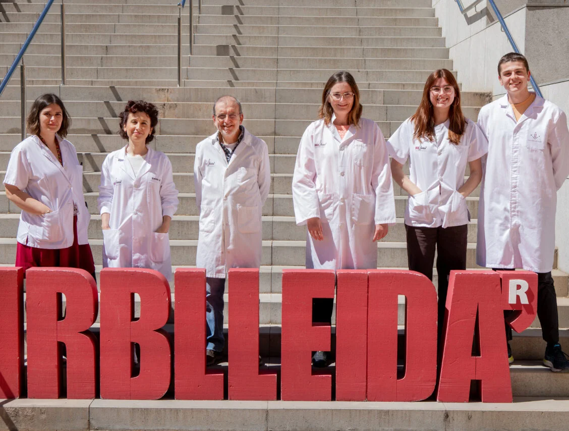 La interacción entre la microbiota y el sistema inmunitario influye en el desarrollo de la diabetes tipo 1