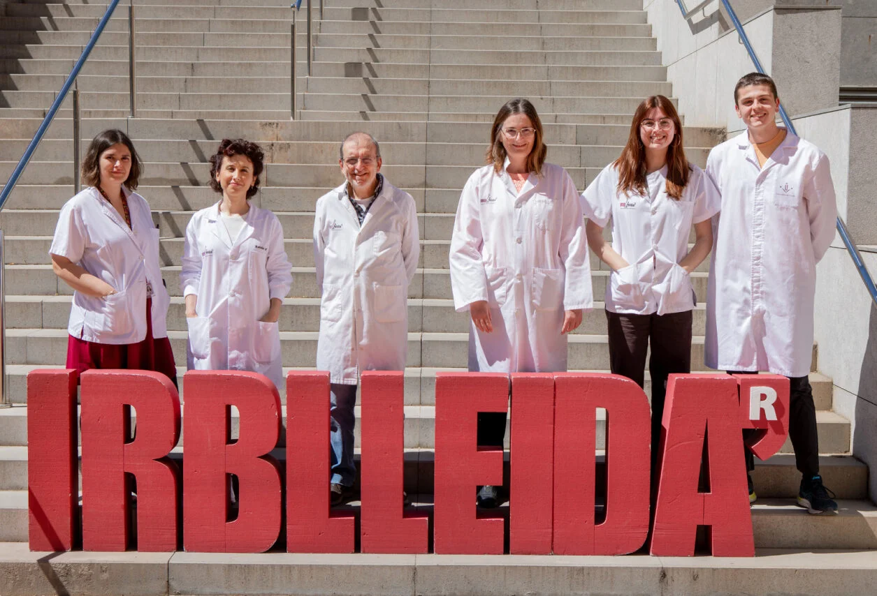 La interacción entre la microbiota y el sistema inmunitario influye en el desarrollo de la diabetes tipo 1