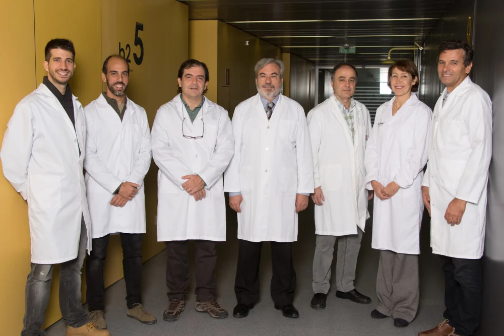 The Neuro-Cognition Research Group organizes an international meeting on psychological research in Lleida
