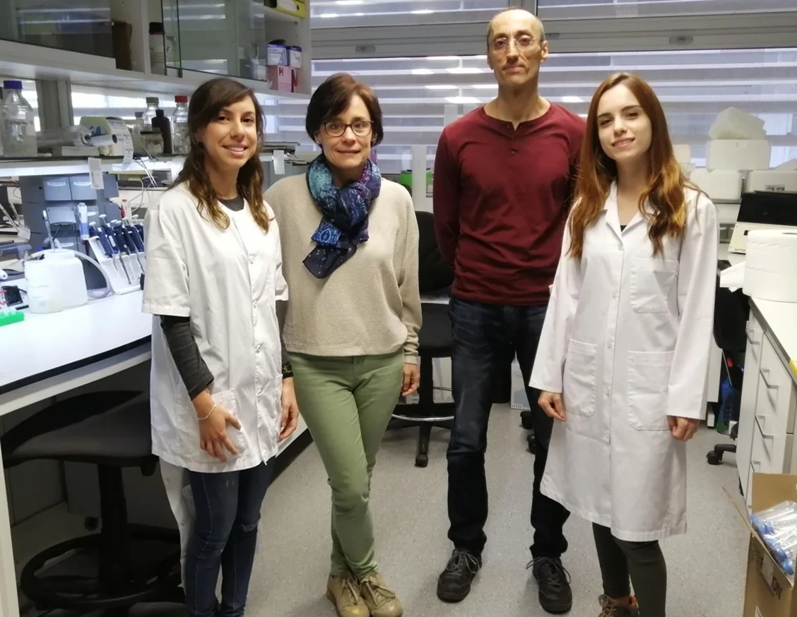 Drug previously used for hypertension found to work on glioblastoma brain tumour