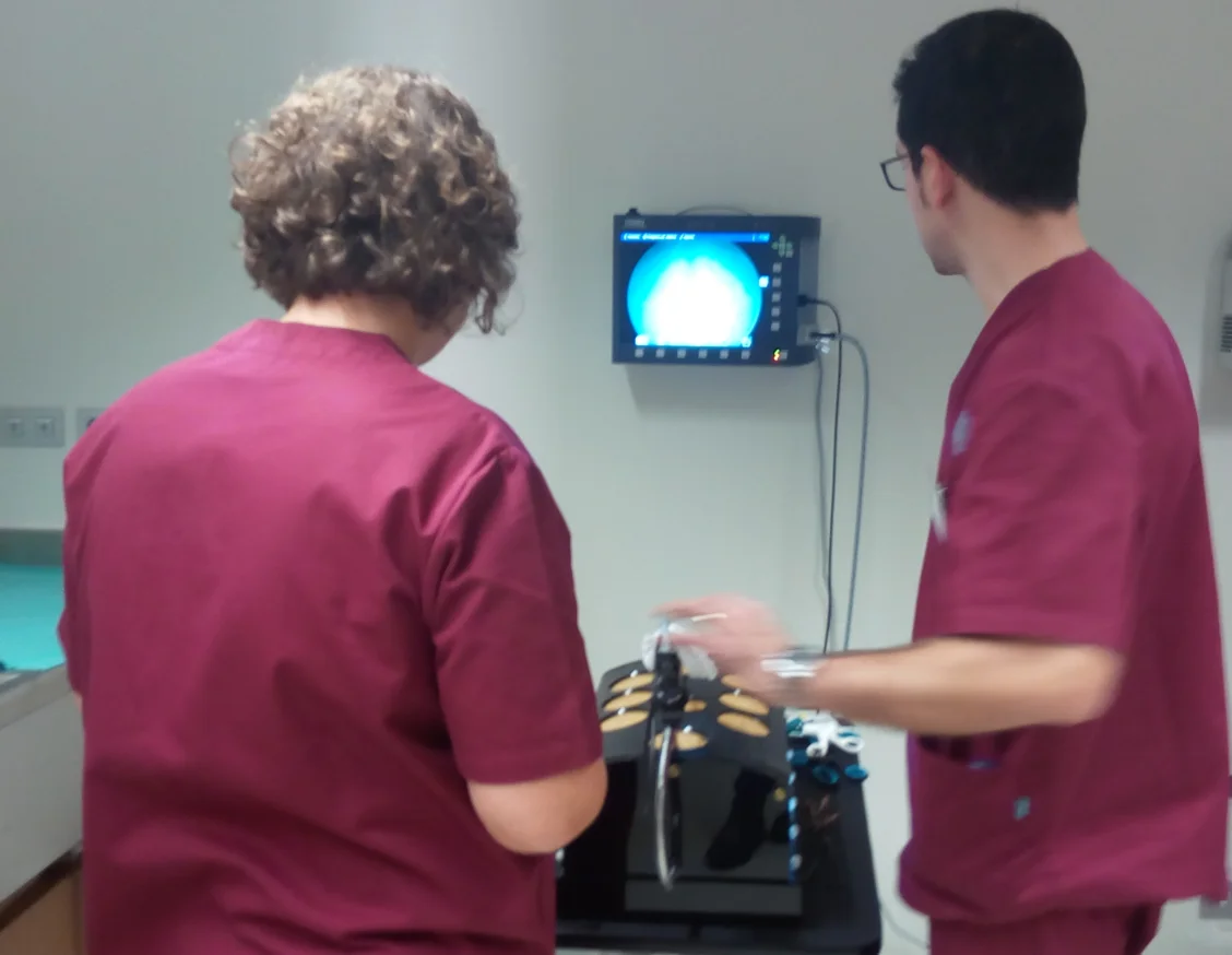 El Servei d’Urologia de l’HUAV organitza un curs per abordar el tractament del càncer de pròstata i de les complicacions de la incontinència urinària derivades d’un tractament quirúrgic al CREBA