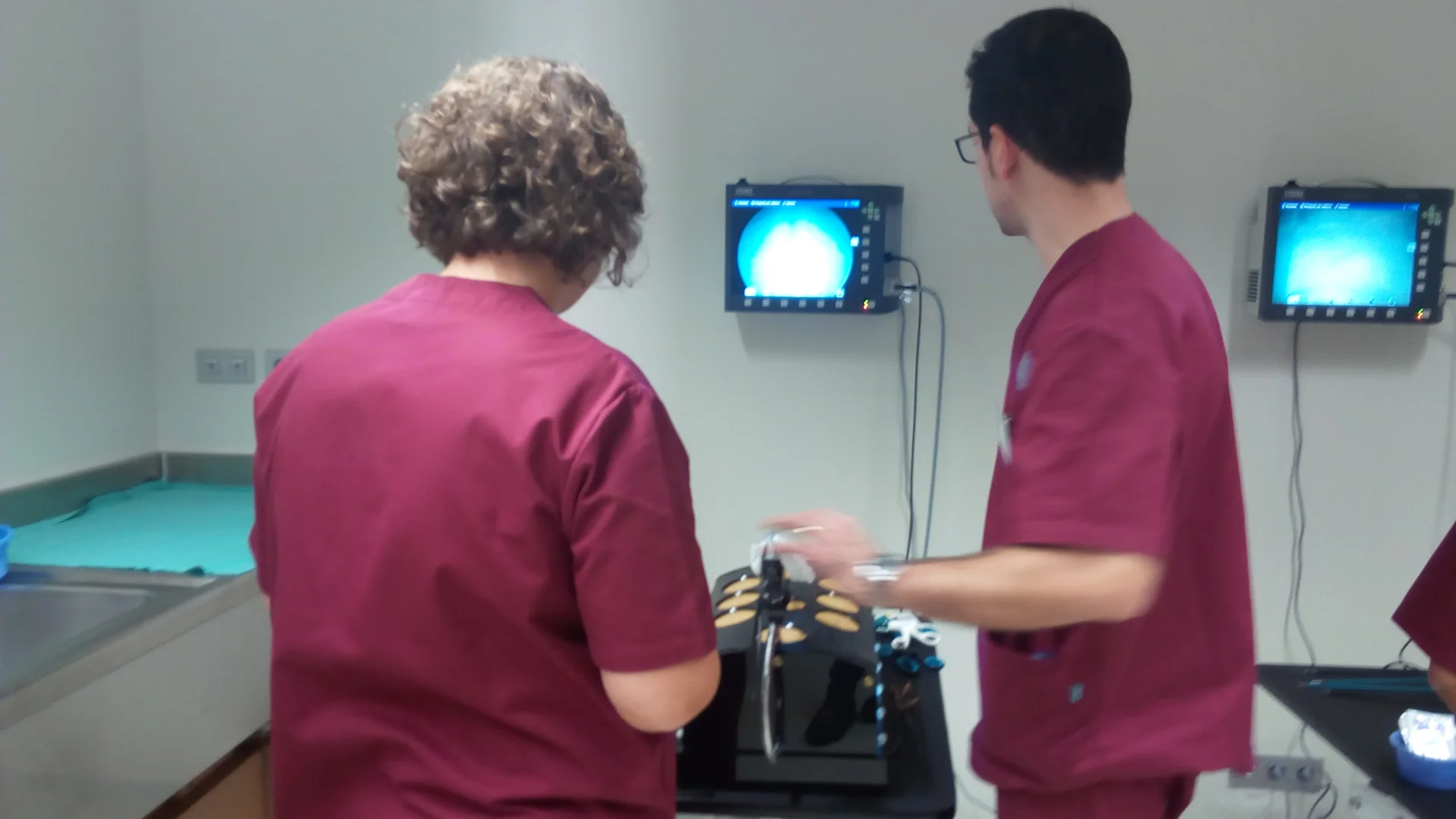 El Servicio de Urología del HUAV organiza un curso para abordar el tratamiento del cáncer de próstata y de las complicaciones de la incontinencia urinaria derivadas de un tratamiento quirúrgico en el CREBA
