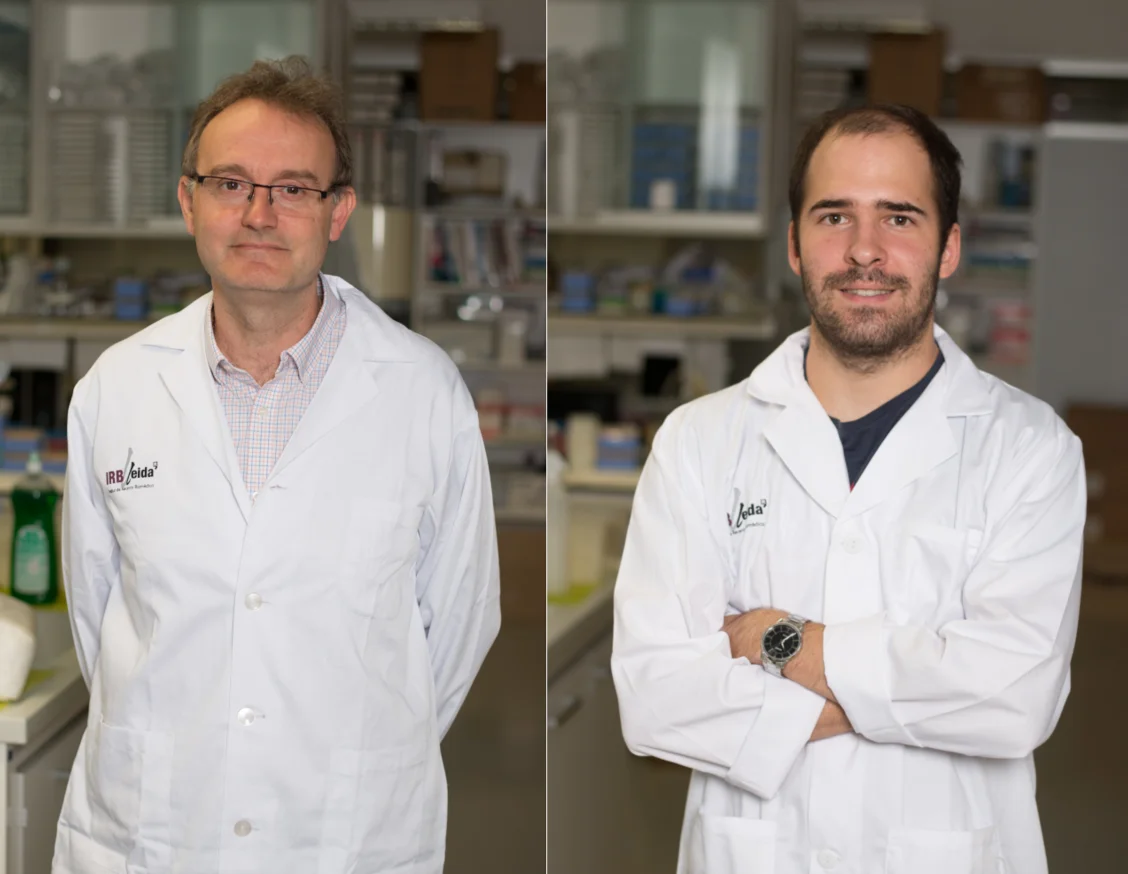 Health funds a Lleida research project to identify potential drugs targeted against a key protein for the entry of SARS-CoV2 virus