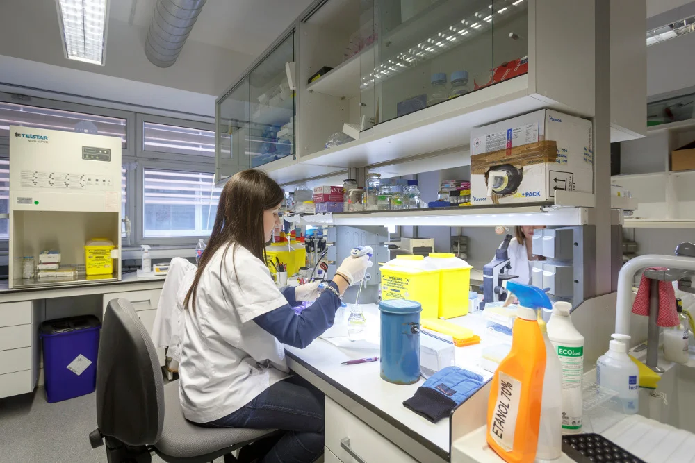 L’IRBLleida ofereix 11 ajuts per fomentar la incorporació de personal investigador a la recerca en salut de Lleida