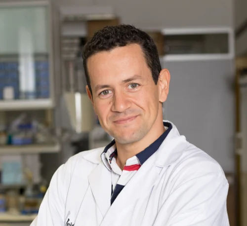 L'investigador Manuel Sánchez de la Torre, reconegut amb la prestigiosa ajuda Ramón y Cajal de l'Agència Estatal d'Investigació