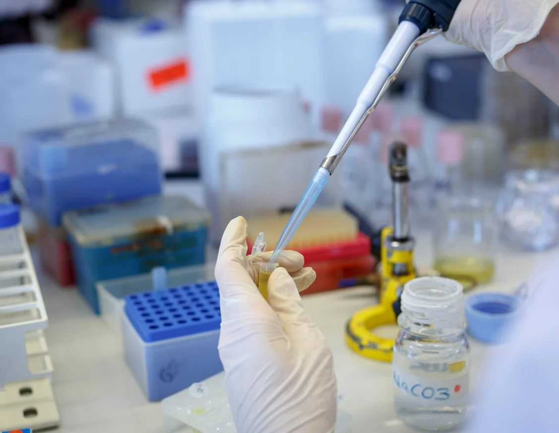 Dos investigadors i una investigadora de l'IRBLleida, entre els més citats al món