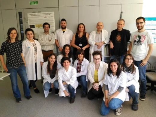 IRB Lleida and UDL describe a new mechanism that regulates the invasive capacity of stem cells