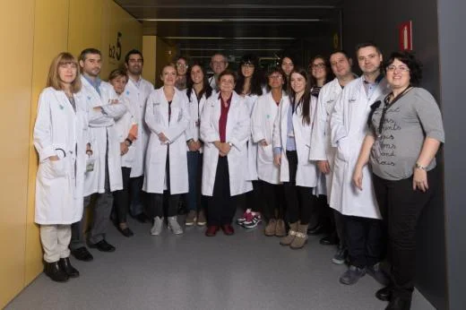 Researchers at IRBLleida determined that excessive activation of vitamin D in blood vessels promotes the accumulation of calcium in arteries in kidney patients