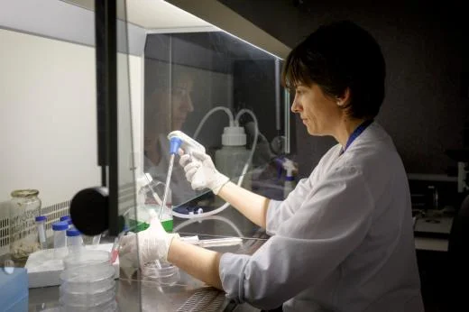 IRB Lleida achieve 15 new projects in 2015
