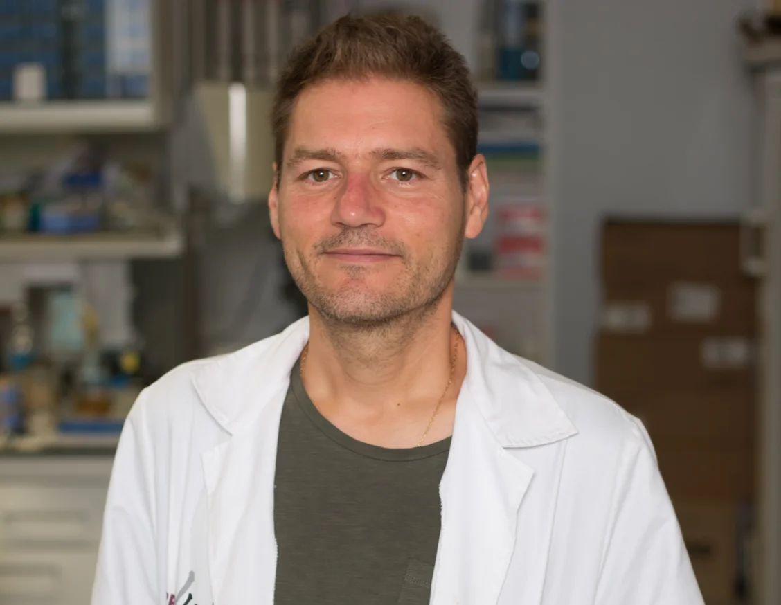 Una nueva estrategia terapéutica para mejorar el tratamiento del cáncer de endometrio agresivo