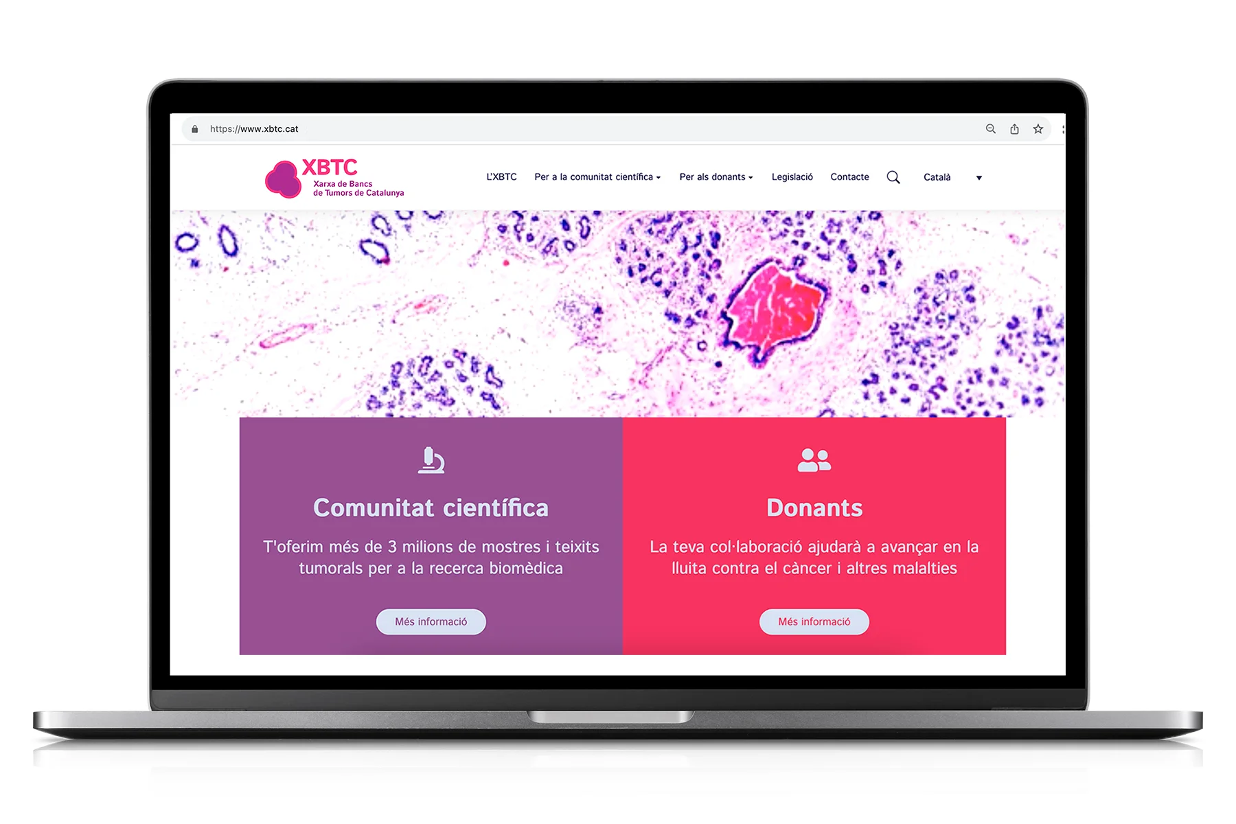 La Xarxa de Bancs de Tumors de Catalunya estrena nova identitat corporativa i web